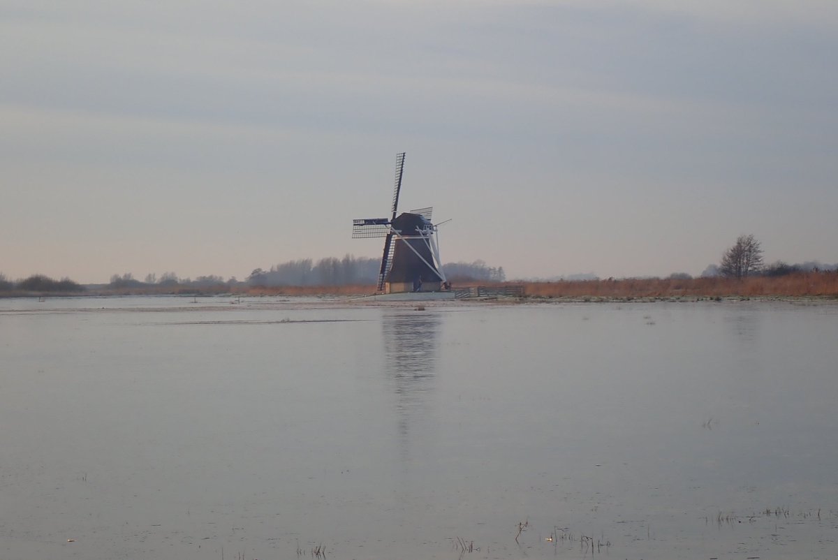 strandje's tweet photo. It ken net. #Ryptsjerk #schaatsen #zwemmen. https://t.co/gIJgyEPjyE