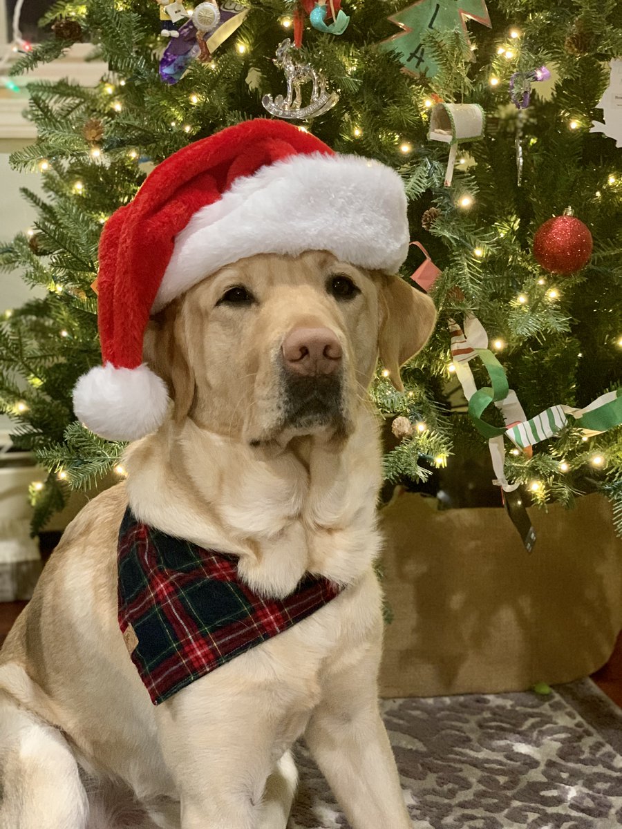 Our own - Morrissey - was able to enjoy some of the staff breakfast too! Happy Holidays!