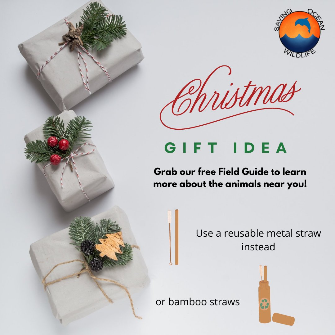 On the 9th day of Christmas <a href="/Saving_Ocean/">Saving Ocean Wildlife (SOW)</a>  gave me an eco-friendly gift idea of using metal staws since they are reusable, portable, and won't harm marine animals. 

Do you know what else is a great gift this Christmas?

Our free  field guide bit.ly/FreeFieldGuide