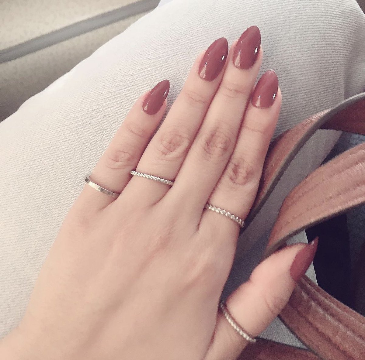 Marian Wasfy tweet media