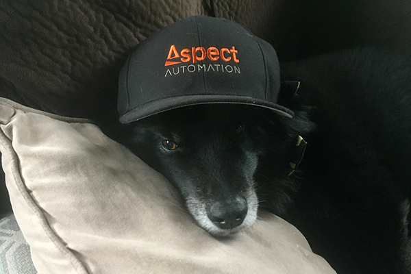 Engineer Paige says her friend Arlo is definitely hoping for some more cool Aspect gear from Santa this year. Happy holidays from all of us at Aspect Automation -- and from Arlo!