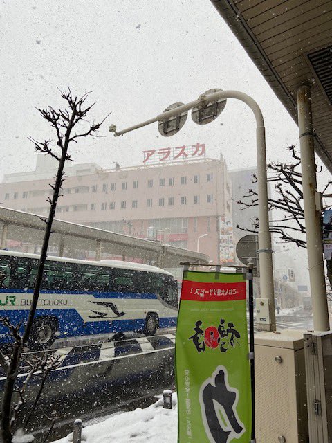 ラビエ Twitter Search Twitter