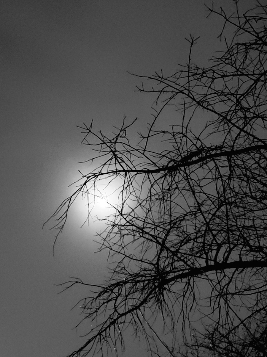 AcyRunway13's tweet photo. Her mind is a hurricane
You can't control
She enters like the quiet of night
Wearing the silk I adore
A silhouette of beauty by moonlight
My soul she restores
She whispers hush baby
Your in for a hell of a ride
By morning you'll be sore 😉

#vss365 #quiet #poetry #SensualWrite https://t.co/ZCzCPCR51L