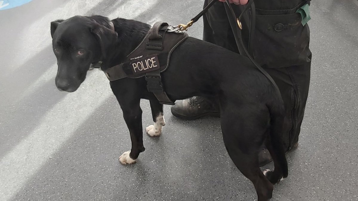 Essex Police - Stansted Airport tweet media