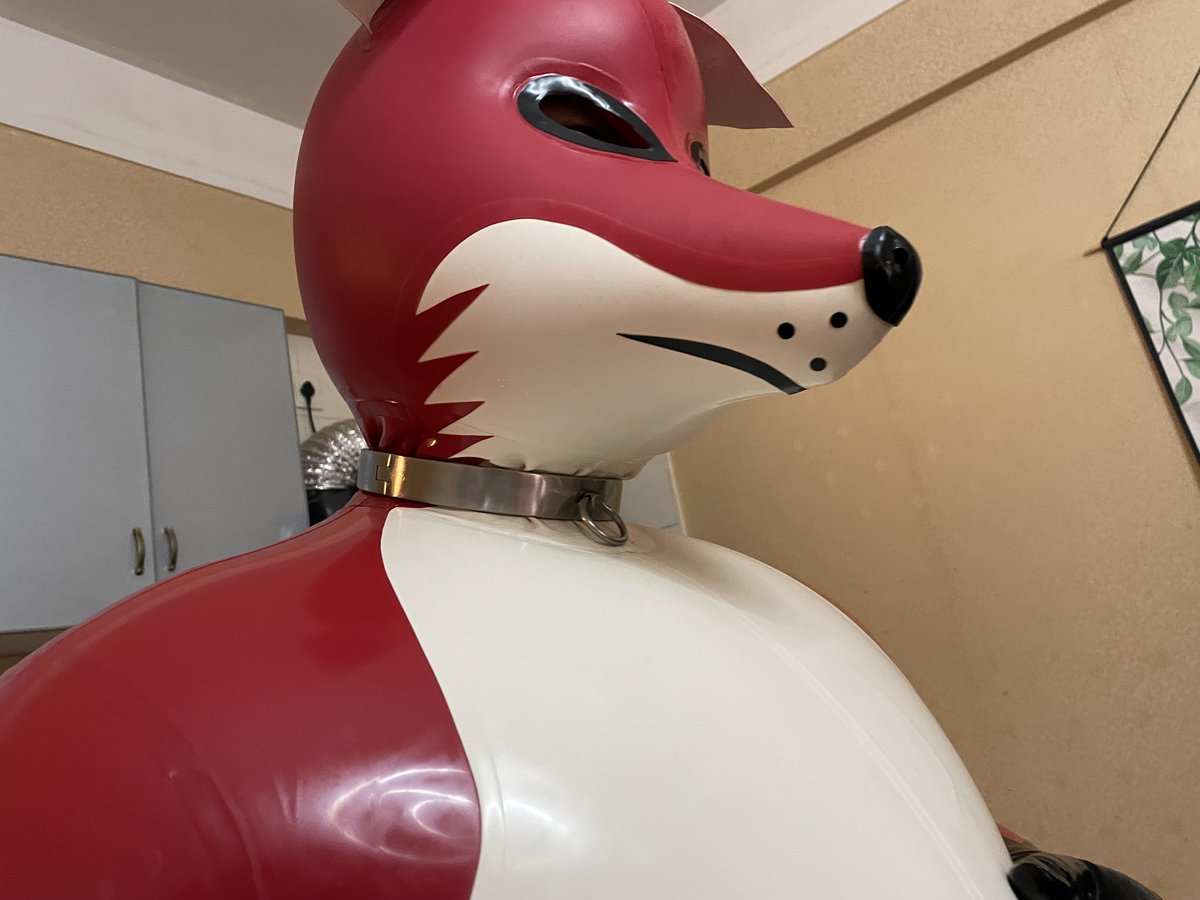 MCrazywolf's tweet photo. 猜猜又是哪个大可爱被锁进去狐狸里面了~🦊 https://t.co/lXp4CeTAFY