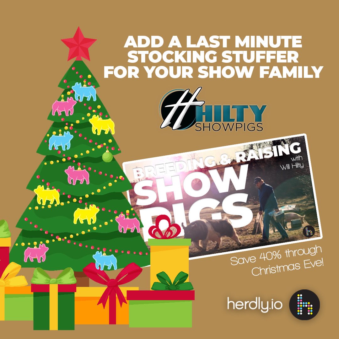 Need some Christmas gifts?! Look no further! 

herdly.io/hilty