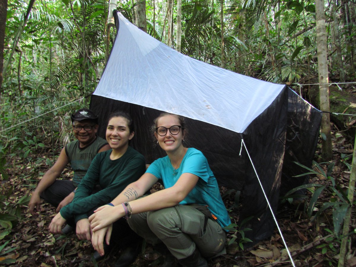 GiullianaAppel's tweet photo. This is us in a Malaise trap installed in a secondary forest of #BDFFP (Cabo Frio camp). Juruna (Ocírio Souza) was our enthusiastic field technician during the collections, and we were very happy that @Ascom_Inpa recently gave him an honorable mention 😊 

https://t.co/hLTdzvG7Et https://t.co/0vMZipSFyt