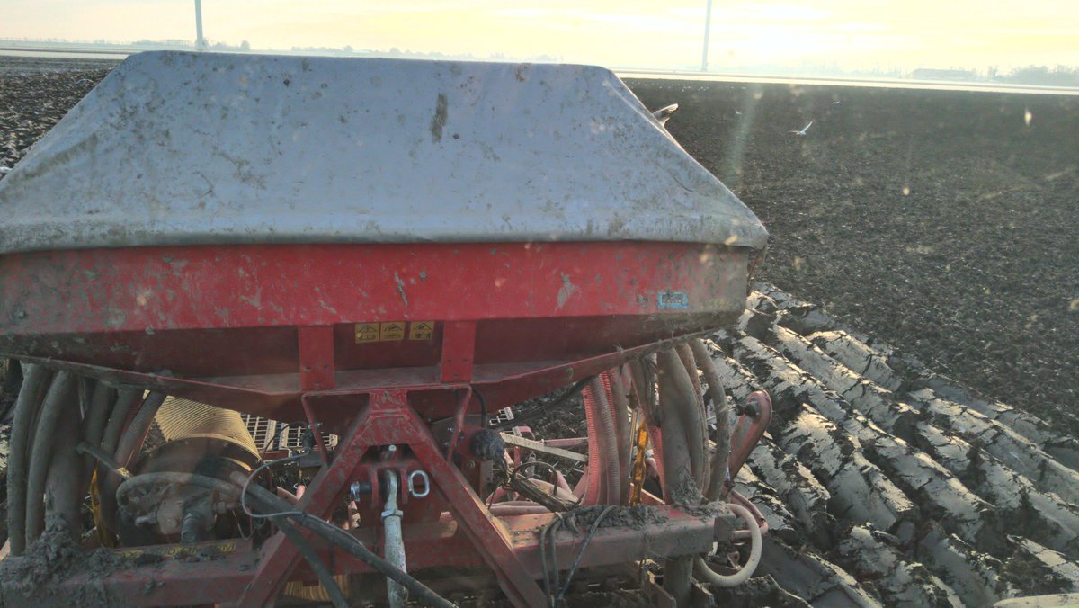 Gisteren de laatste bieten gerooid. Nu mooi voor de kerst het laatste landwerk afwerken.