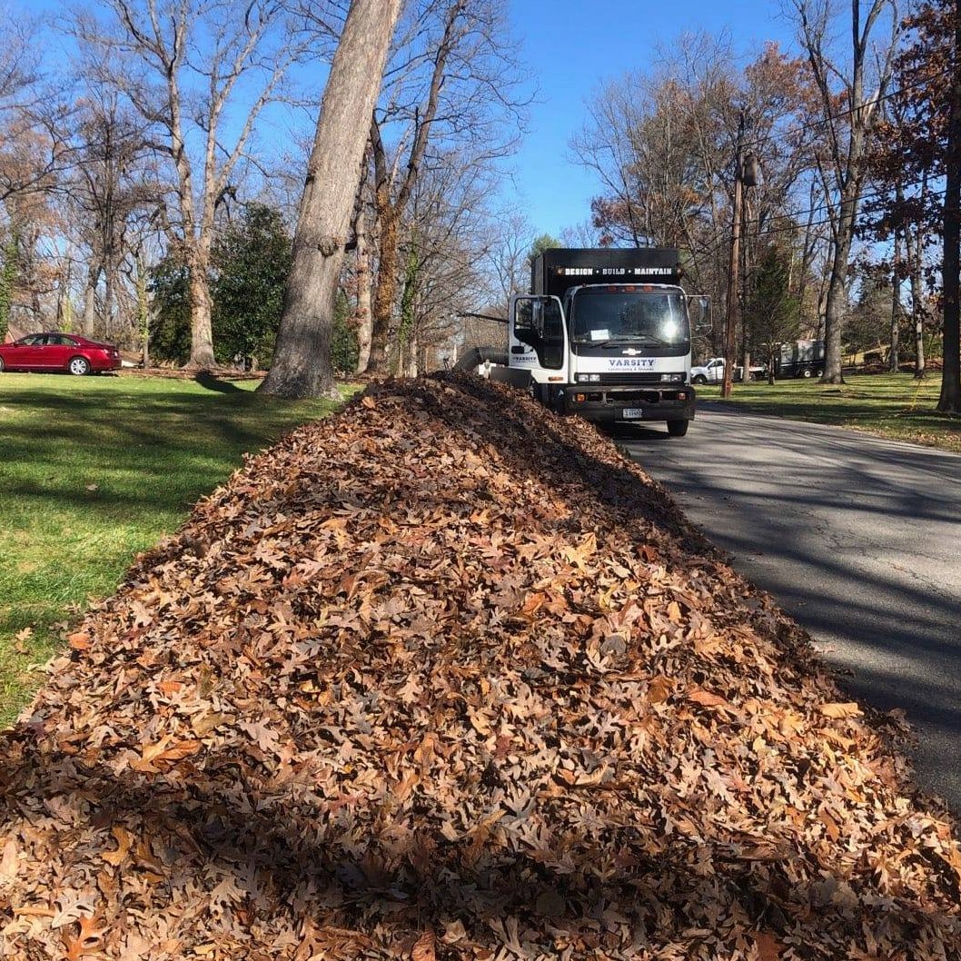 Take advantage of the dry weather, schedule your leaf clean up now. If you still have leaves, we have availability to get you on the schedule. Contact us and have your leaf removal scheduled to take advantage of the dry, fluffy leaves before rain or icy weather pack them down.