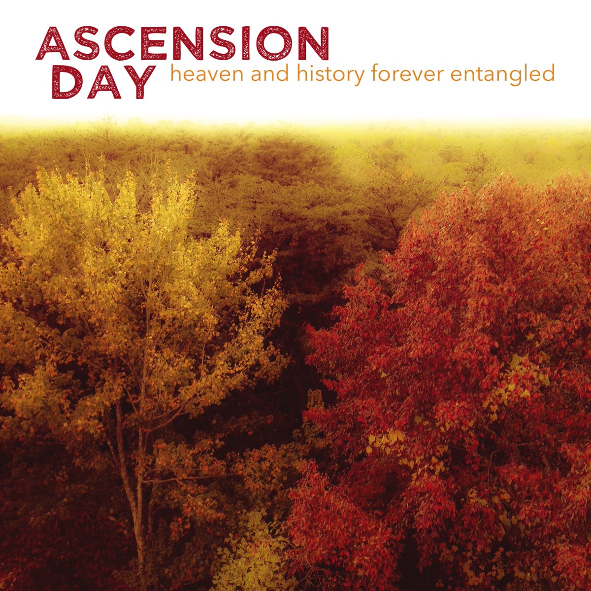 Tony Xenos tweet media