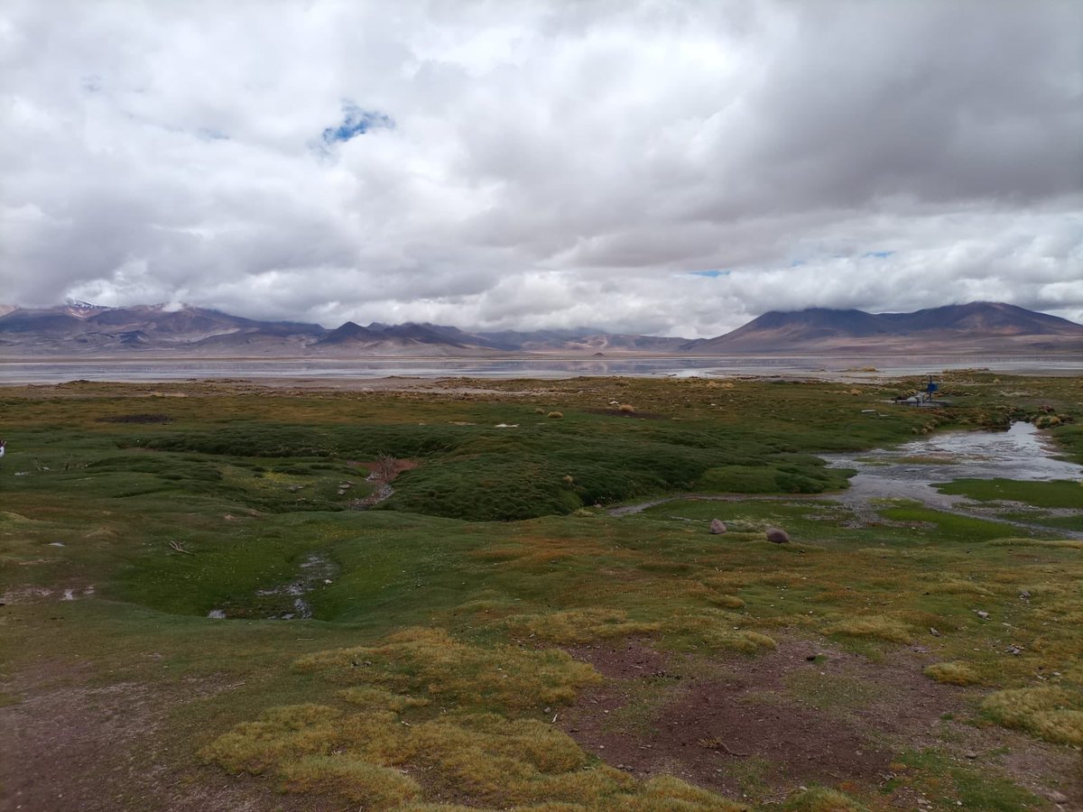 Seremi @moyrartamborino en terreno en la Laguna Salar del Huasco junto a comunidades indígenas y al municipio de Pica, para apoyar en proyectos de protección y puesta en valor de este hermoso lugar. #PlanNacionalDeProteccionDeHumedales 2018-2022.