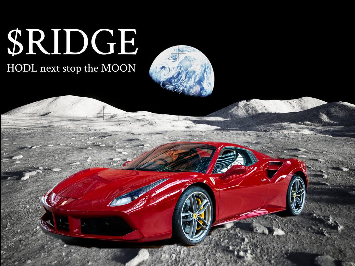 Mohbuoy's tweet photo. @MandingoRidge $Ridge is not going to stop, the team is just amazing, the utilities it has in store are exciting, I can't wait for this #shibamine games to go live https://t.co/7jnTrL5K85