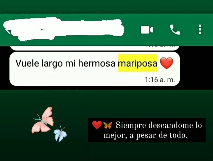 Sus ex's también son así? 😪
Él a pesar de todo, a pesar del daño, a pesar de yo pensar que nunca me iba apoyar, ha sido incondicional en mi vida y nunca me juzgó, sino me dio su mano y siempre apoyó. Love u gordi🚀🪐