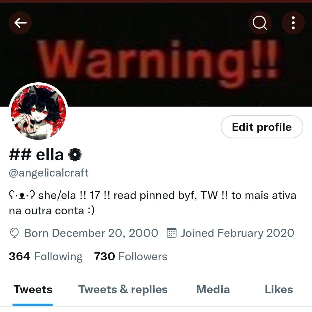 angelicalcraft's tweet photo. hey I changed my layout :) https://t.co/hu662avWtZ