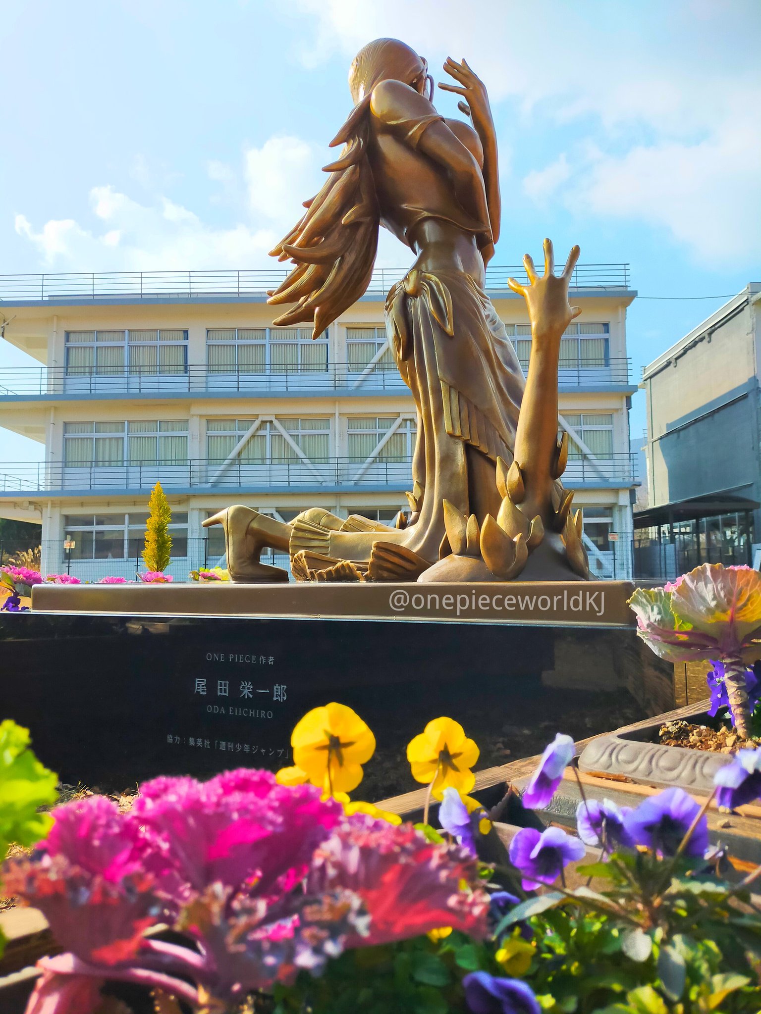 時々ニコ ロビン Twitter Search Twitter