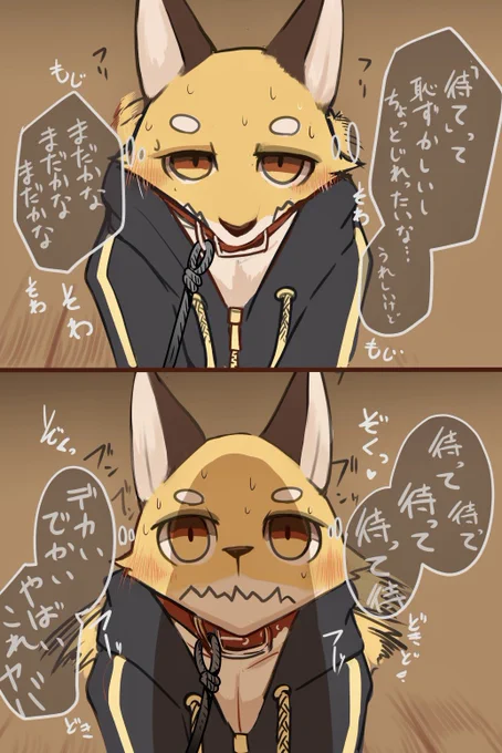 「待て」 