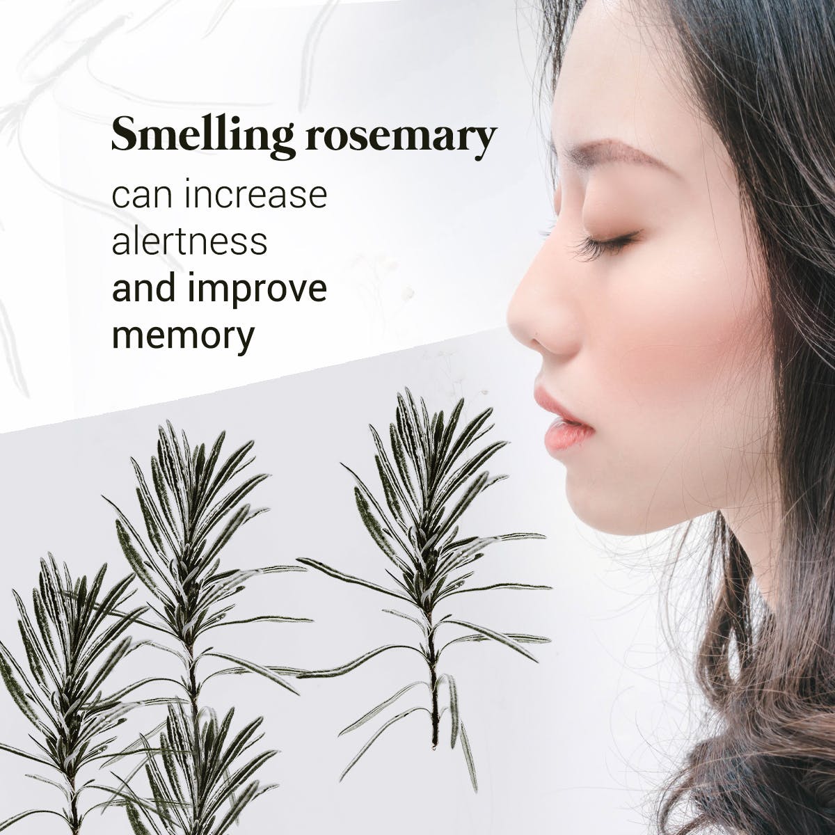 SusieSheftel's tweet photo. Looking for a cool plant with benefits? How about a rosemary plant! It’ll smell amazing and you can snip some off to add into some of your favorite recipes!
#rosemary #cookingwithherbs #freshherbs #clarity #smellit https://t.co/RdDbOQVVan