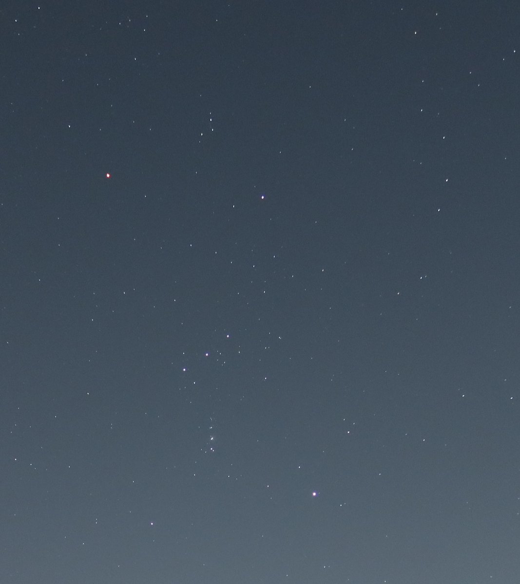 pebblybits's tweet photo. @warrior_orion It's beginning to look a lot like Orion
Everywhere you go
Take a look in the winter sky
He's certain to catch your eye
With Betelgeuse and Rigel all aglow
It's beginning to look a lot like Orion
Shining clear &amp; true
But the prettiest sight to see 
Underneath the belt of 3
Is M42 https://t.co/Ut30TYt1CF