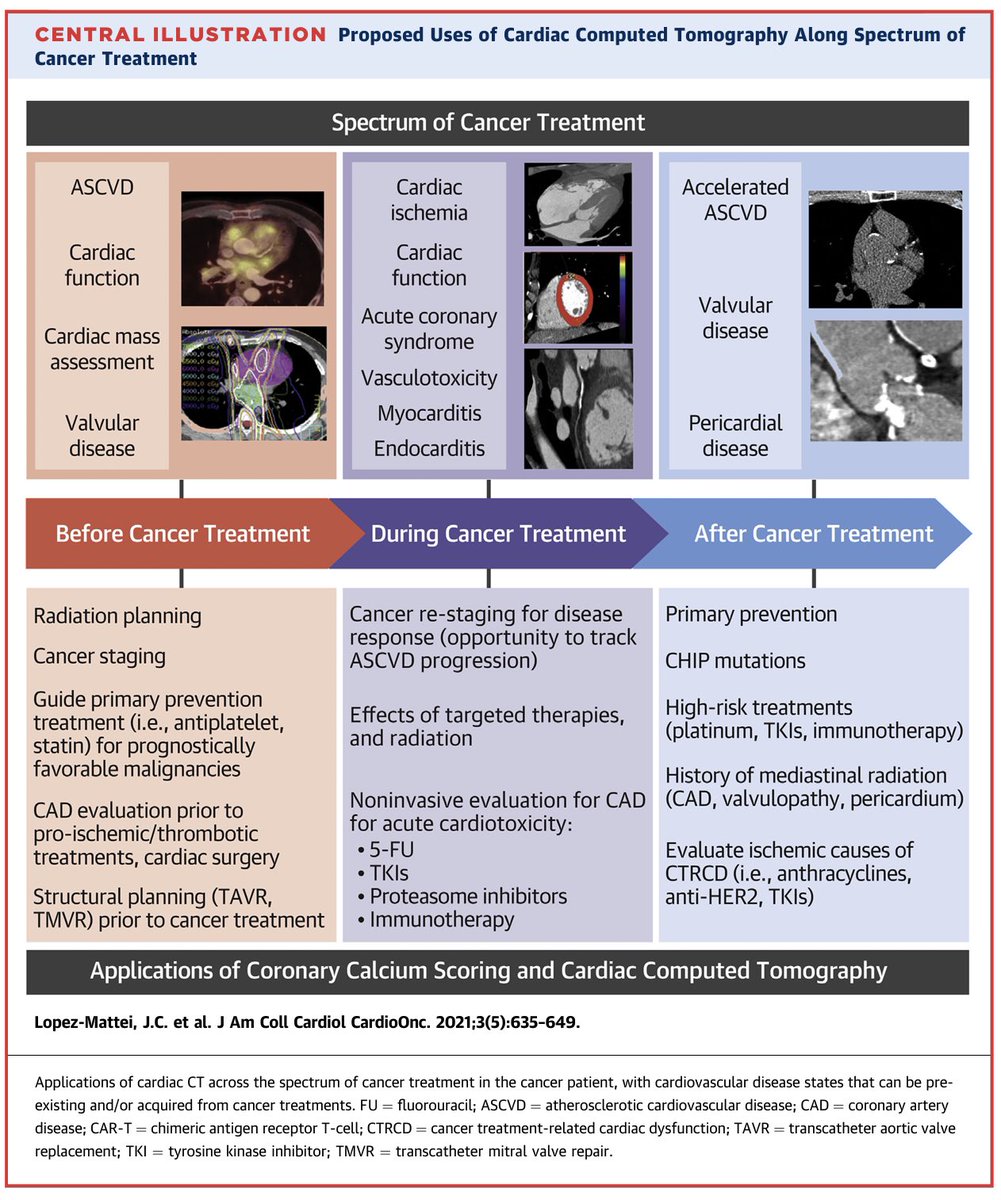 Juan Lopez-Mattei, MD (@onco_cardiology) on Twitter photo Want to learn about the role of Cardiac CT in CardioOncology? #YeSCCT #CardioOnc #JACCCardioOnc
Open access
👉🏼 jacc.org/doi/10.1016/j.…
<a href="/BudoffMd/">Matthew Budoff MD</a> <a href="/datsunian/">Eric H Yang, MD</a> <a href="/CardiacCTGuy/">Maros Ferencik</a> <a href="/CardioOnc_MR_CT/">Lauren A. Baldassarre, MD, FACC, FSCCT, FSCMR</a> @sdent_duke <a href="/the_lundquist/">The Lundquist Institute</a> <a href="/Lee_Health/">Lee Health</a> <a href="/UCLAHealth/">UCLA Health</a> <a href="/OHSUNews/">OHSU News</a> <a href="/YaleCardiology/">Yale Cardiology</a> <a href="/DukeCancer/">Duke Cancer</a> Want to learn about the role of Cardiac CT in CardioOncology? #YeSCCT #CardioOnc #JACCCardioOnc
Open access
👉🏼 jacc.org/doi/10.1016/j.…
<a href="/BudoffMd/">Matthew Budoff MD</a> <a href="/datsunian/">Eric H Yang, MD</a> <a href="/CardiacCTGuy/">Maros Ferencik</a> <a href="/CardioOnc_MR_CT/">Lauren A. Baldassarre, MD, FACC, FSCCT, FSCMR</a> @sdent_duke <a href="/the_lundquist/">The Lundquist Institute</a> <a href="/Lee_Health/">Lee Health</a> <a href="/UCLAHealth/">UCLA Health</a> <a href="/OHSUNews/">OHSU News</a> <a href="/YaleCardiology/">Yale Cardiology</a> <a href="/DukeCancer/">Duke Cancer</a>