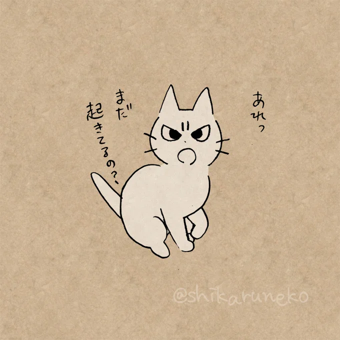 夜になると寝たくなくなる人を叱ってくれる猫 
