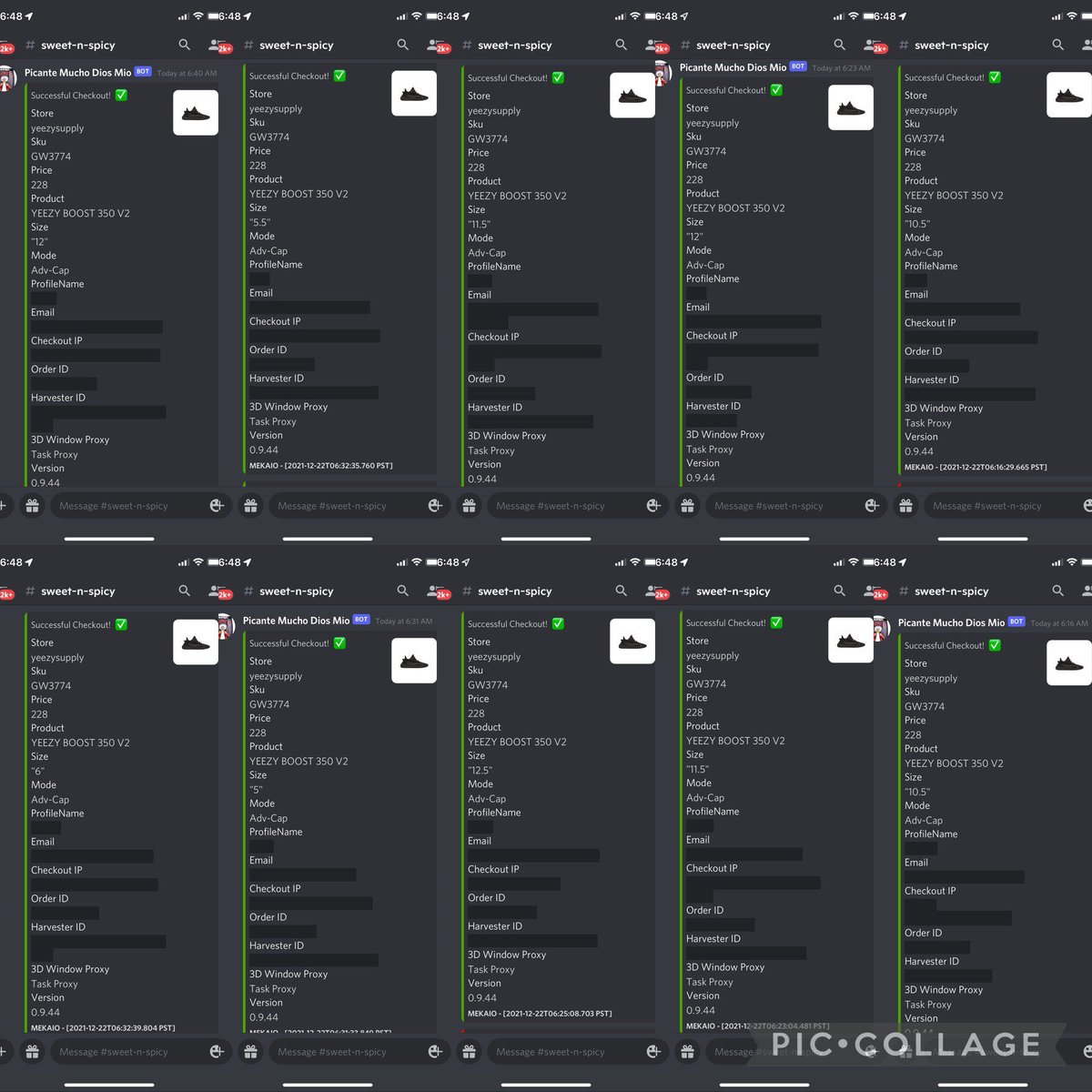 tapatio_soles tweet media