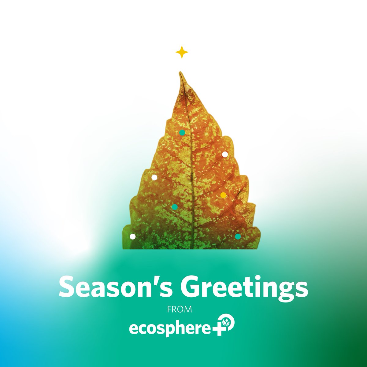 Season's Greetings from Ecosphere+!