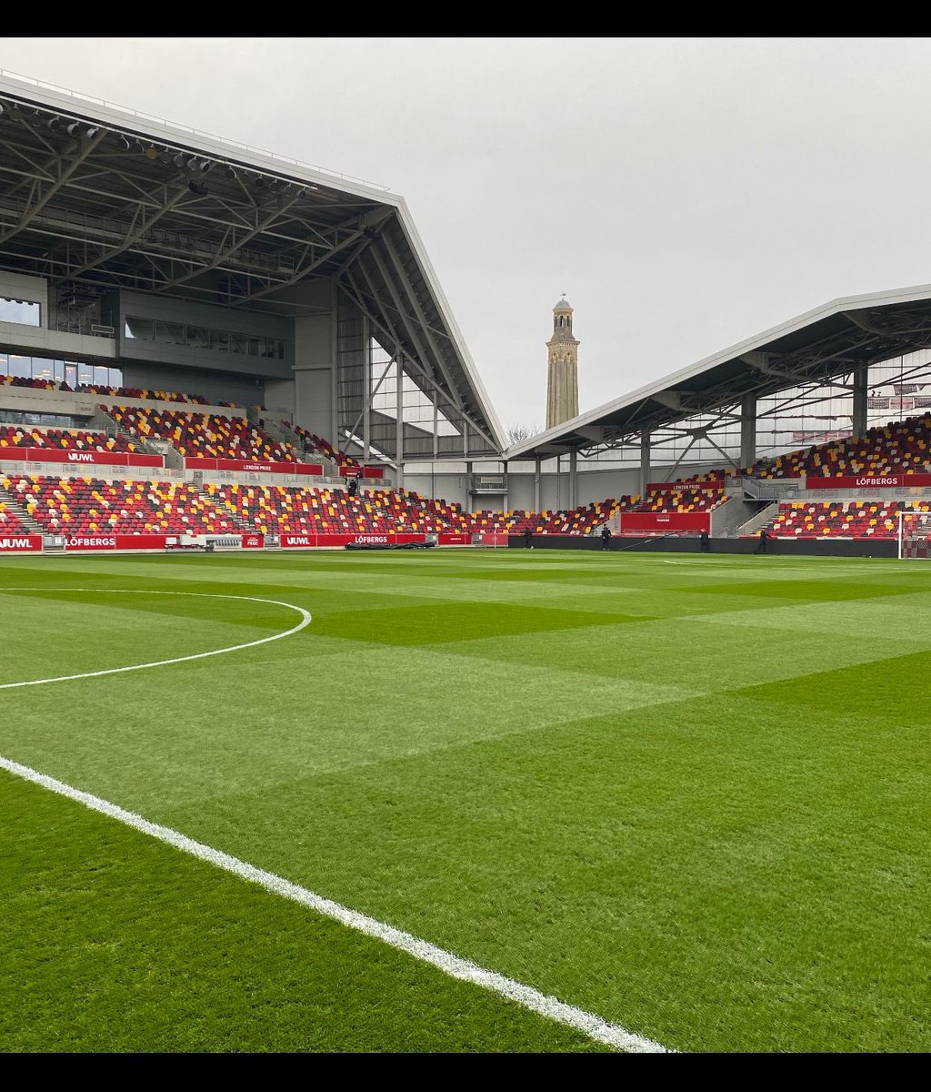 steven honey tweet media