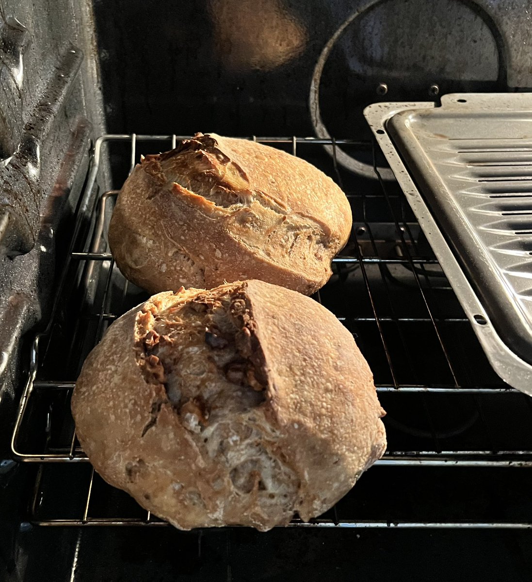 JoseAnalytics's tweet image. It has been a bit too busy lately. It feels great to have found the time do so sourdough bread baking today!