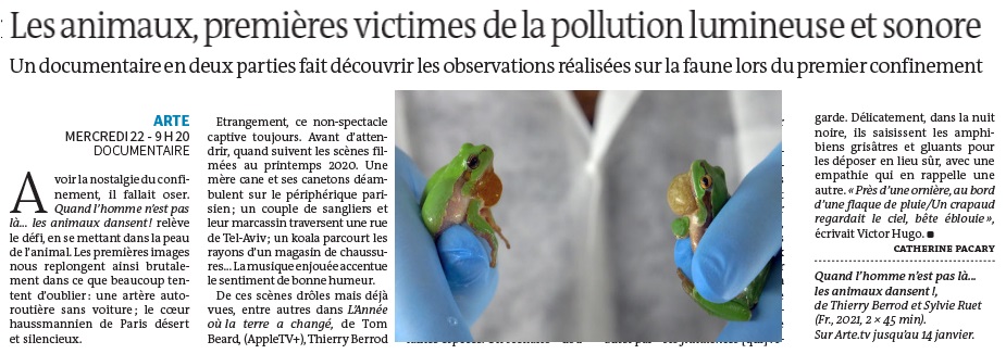 LeMondeTV's tweet photo. Sur @ARTEfr « Quand l’homme n’est pas là… les animaux dansent ! »... et les cachalots discutent  @pacary_l https://t.co/cXvCysEEOC https://t.co/ZxP9X8nBuC