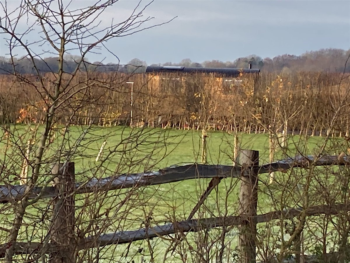 BellwetherKent's tweet photo. @BellwetherKent tucked away in the corner of our field. #woodburningstove #pizzaoven #hotub pure seclusion and peace and quiet. https://t.co/jbaFDCKslC