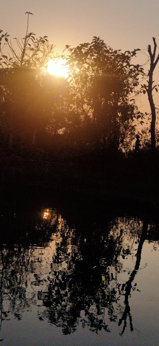 Hop24900929's tweet photo. Sunset 🌇🌇 ❣️❣️
#photography #beauty #Trending #likesforlike #follo4folloback #TwitterNatureCommunity https://t.co/p44dNLZbXm