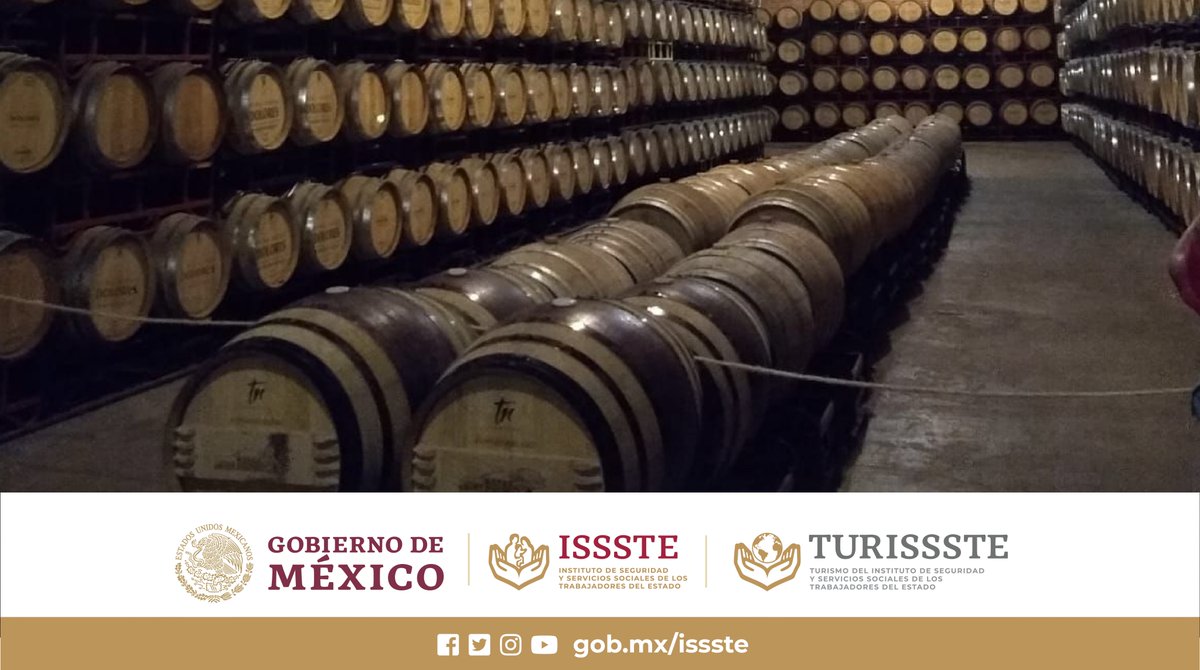 TurismoISSSTE's tweet photo. Ven con #TURISSSTE a conocer el proceso de elaboración de la finca vinitícola Freixenet en #Querétaro. Visita su cava con 25 metros de profundidad, donde te explicarán el método de elaboración de sus vinos. https://t.co/dqRHTKt84s