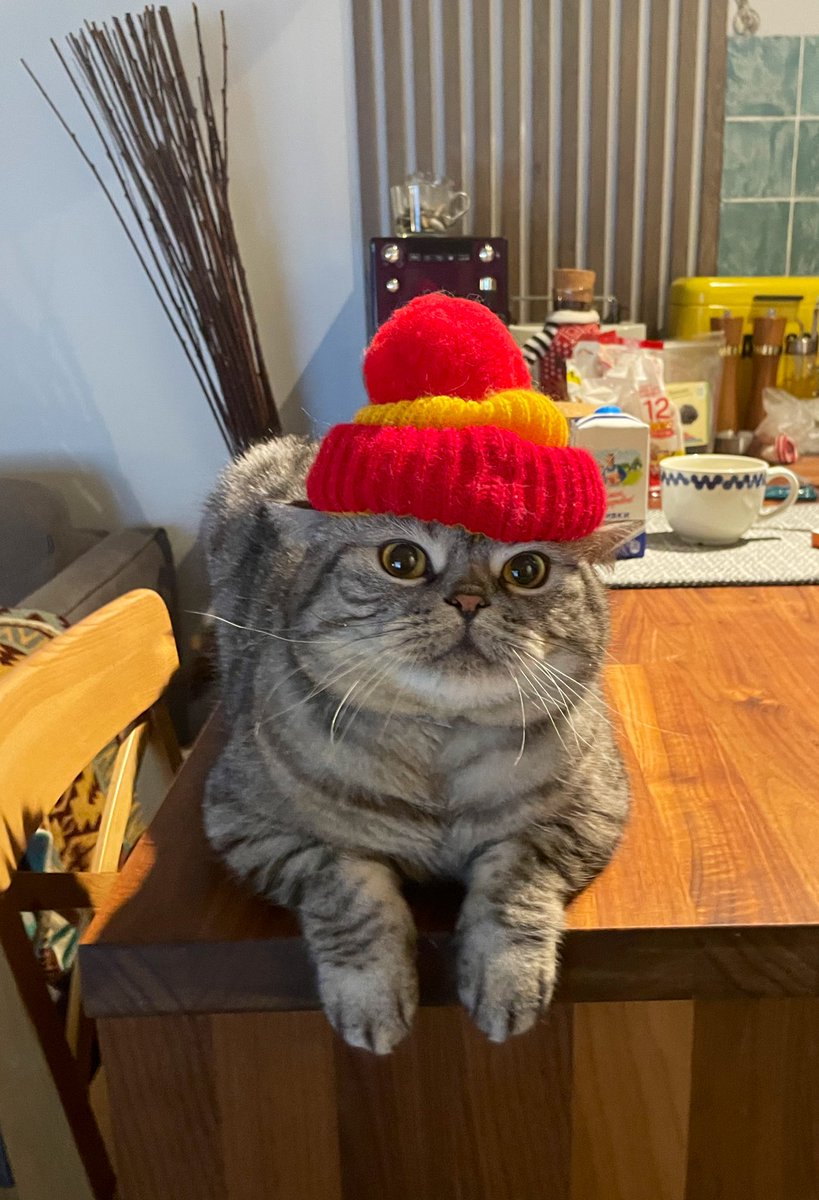 Maria_Key's tweet photo. СРОЧНО: случился косплей. Распространите! https://t.co/qRqF1wkjuN