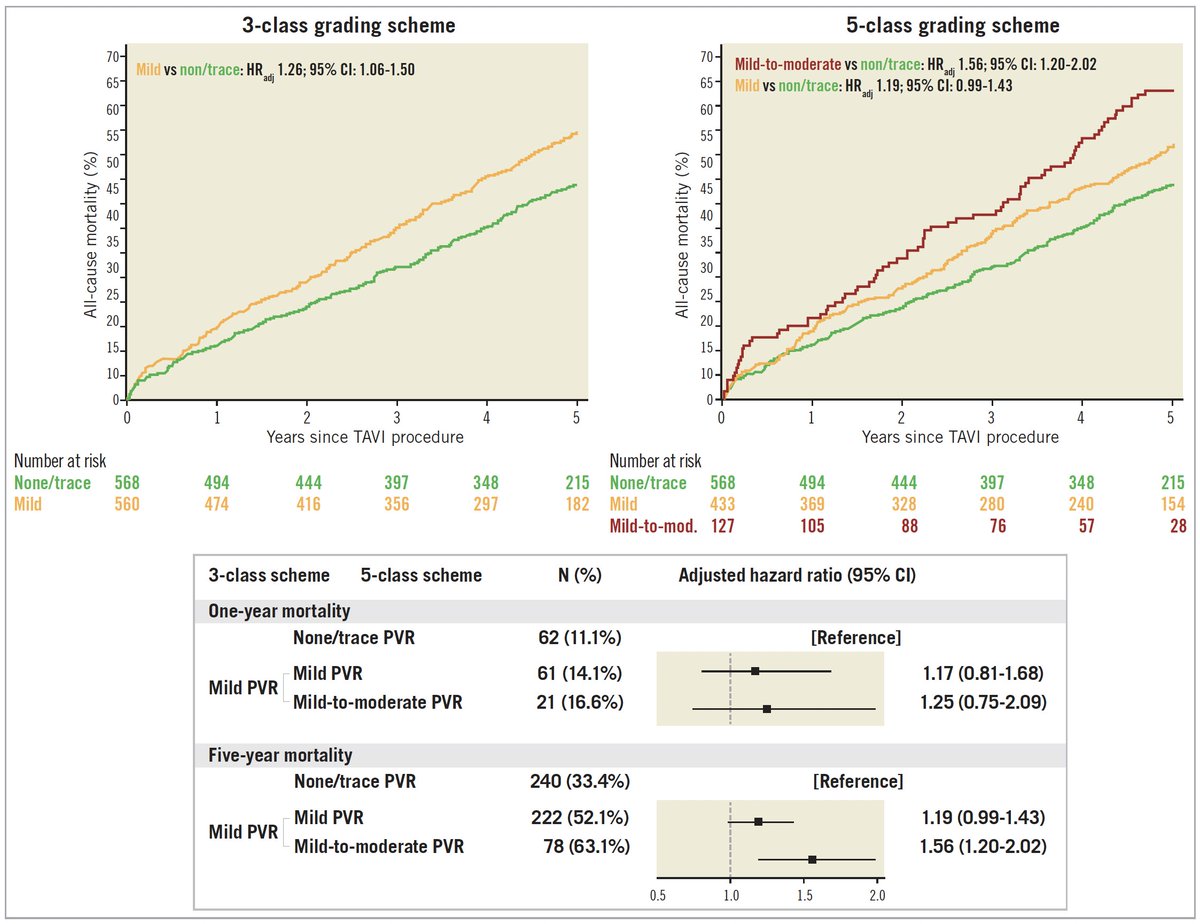 In a prospective registry of 1128 TAVI patients, mild PVR was associated with ⬆️risk of mortality 5 years after TAVI. The consequences of mild PVR accrue over time and have important repercussions on treatment selection in younger patients.
DOI: 10.4244/EIJ-D-21-00784