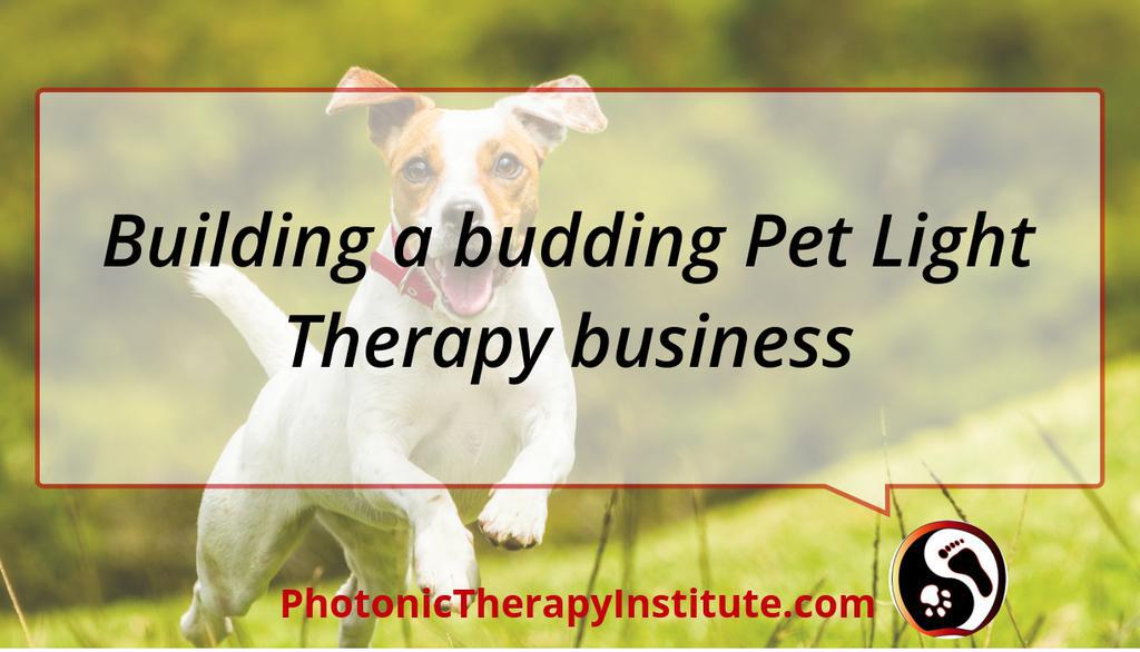 LearnAboutLight's tweet image. Building a budding Pet Light Therapy business bit.ly/2Vv3yQy

#PetAdoption #LightTherapy #LLLT #Photopuncture #PhotonicTherapy #Photobiomodulation #InLightMedical