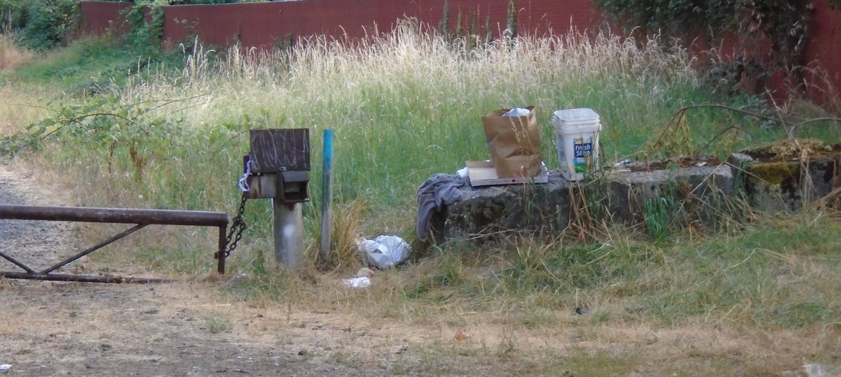 BluCollarGent's tweet photo. "Shitty Trail" from #EyesOnPDX

#shittytrail #pdx #portlandOR #rosecity #ripcity #stumptown #bluecollarvalues #gentlemanlystandards #thebluecollargentleman https://t.co/BhSNEb1zKF