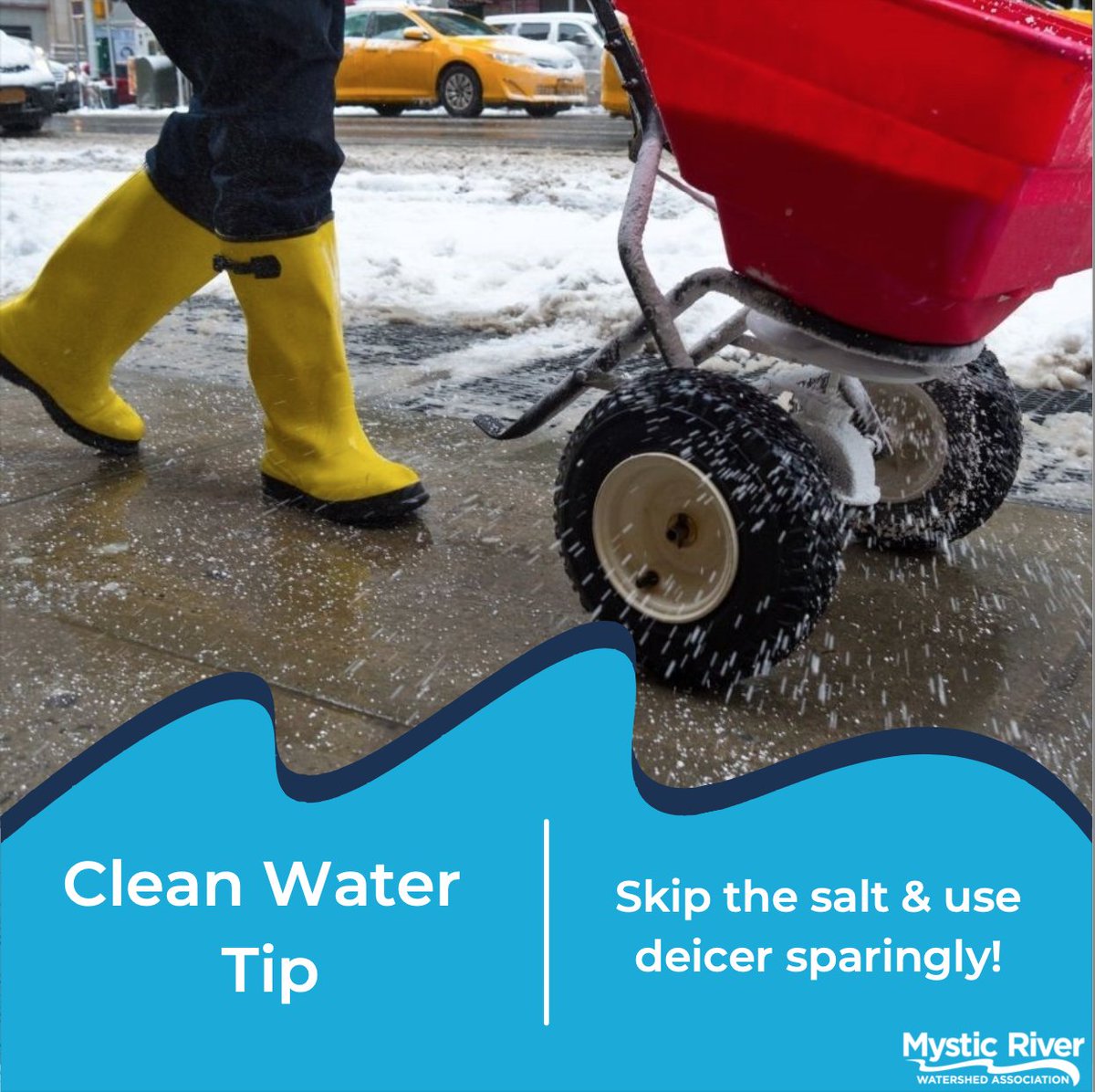 MysticMyRWA's tweet photo. 💧#CleanWaterTip!💧

When the snow melts where do you think all the salt and de-icer goes? You got it! It flows into our storm drains and straight into our waterways. Keep those chemicals out of our water ➡️ shovel first, use de-icer instead of salt, and use de-icer sparingly! https://t.co/RZb3ye2OZc