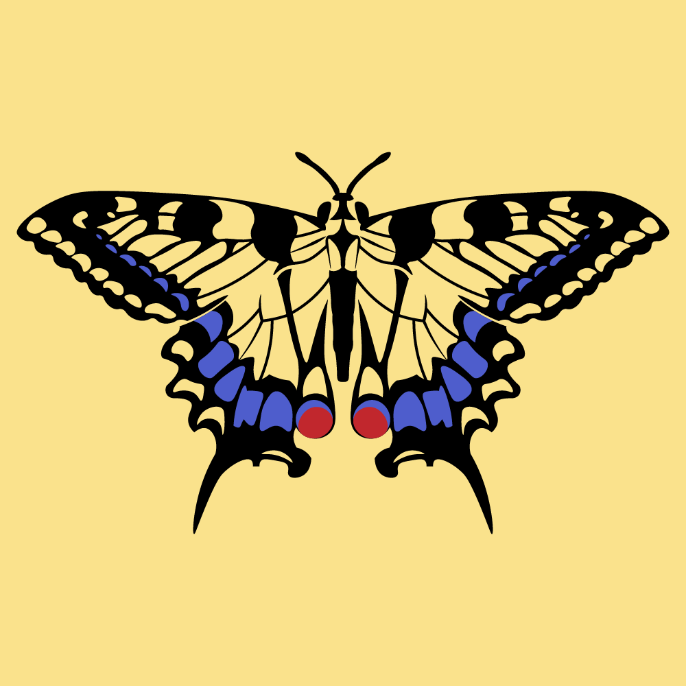 crow_mage's tweet photo. Have a butterfly, why not? https://t.co/FWeyJ6eBvH