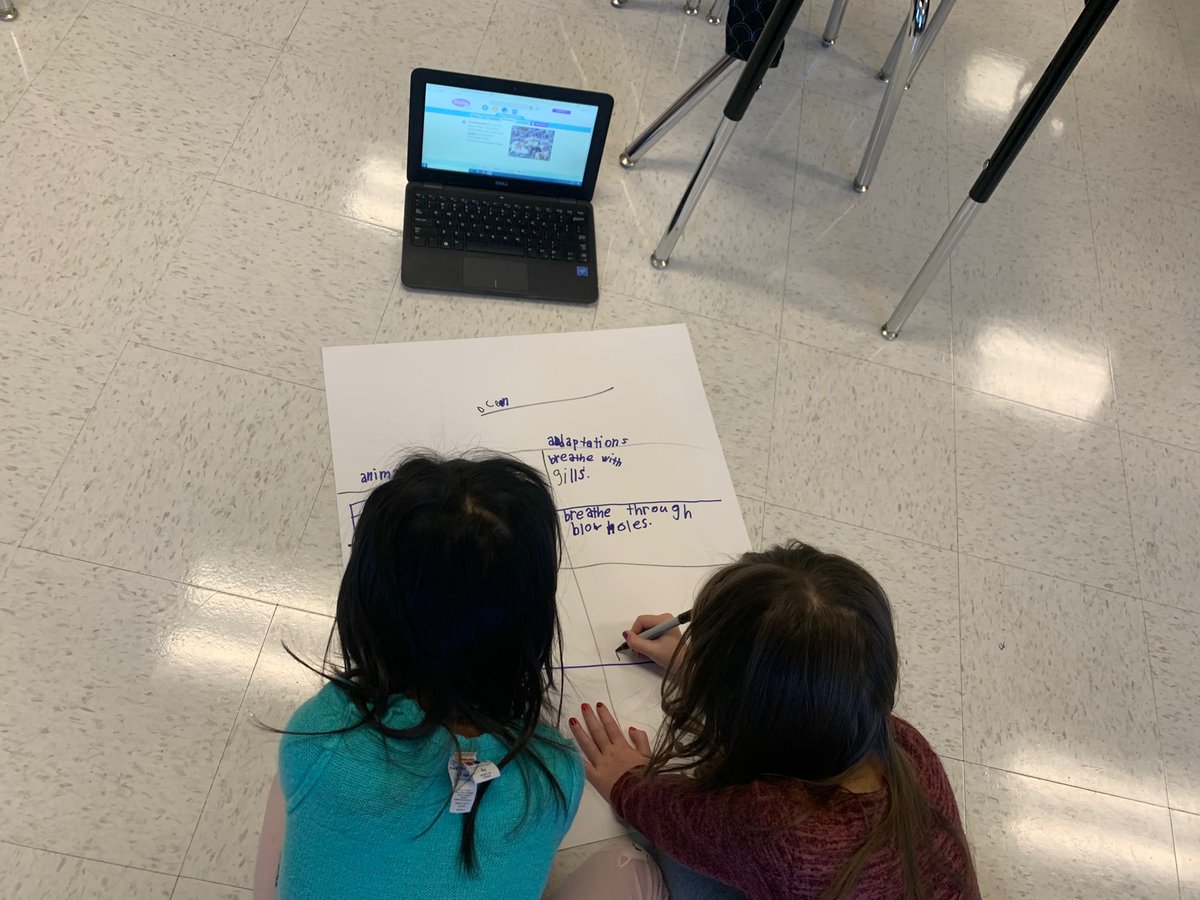 MrsDudney's tweet photo. Day 3 at RFE: These park rangers are researching animals in different habitats to learn more about adaptations. #RCSSTREAM2021 https://t.co/dJ8De7btEj