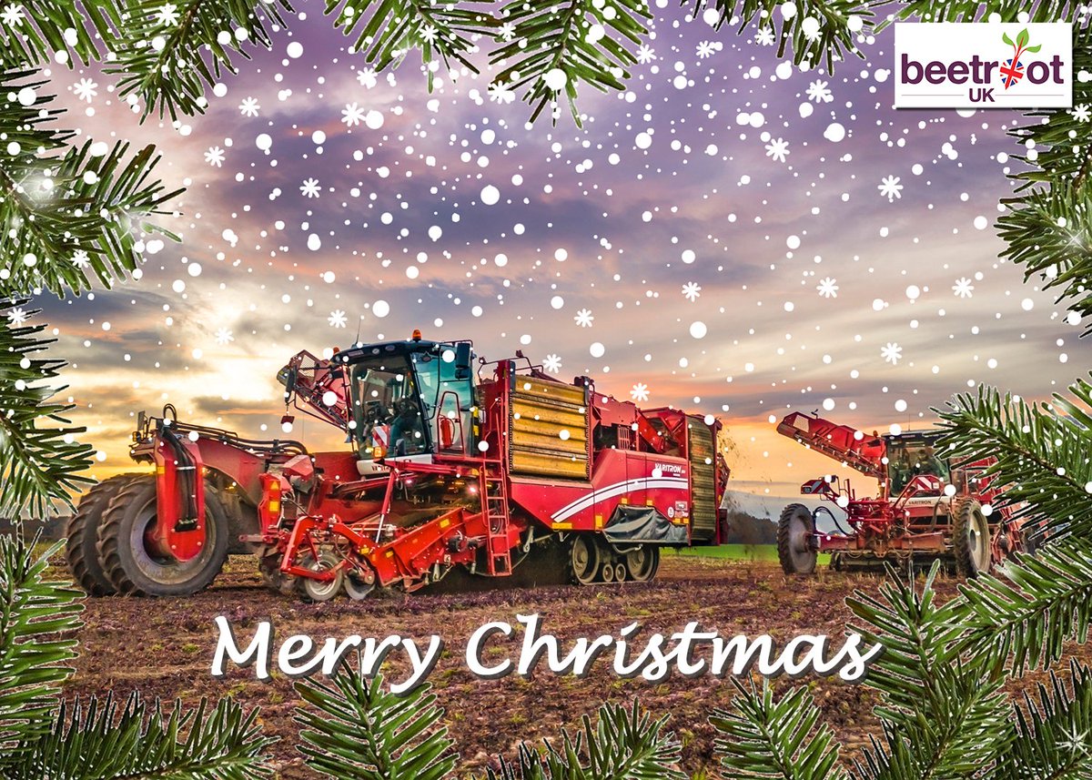 StanWhiteFarms's tweet photo. We would like to wish you a very Merry Christmas and a Happy New Year from all the team at Beetroot UK 🎅🤶🎄

#MerryChristmas #BeetrootUK #BritishFarming #KeepEatingBeetroot https://t.co/zzXd1qYl8X