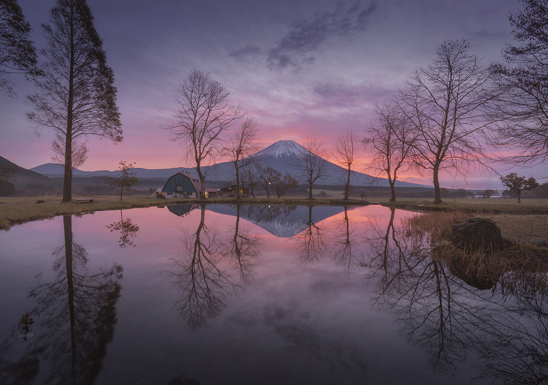 iurie Belegurschi tweet media