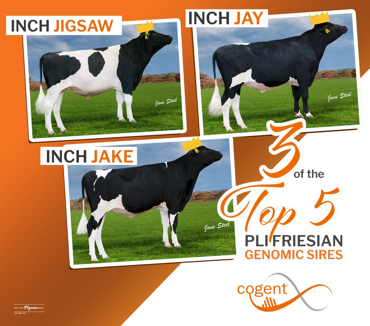 Cogent Breeding Ltd tweet media