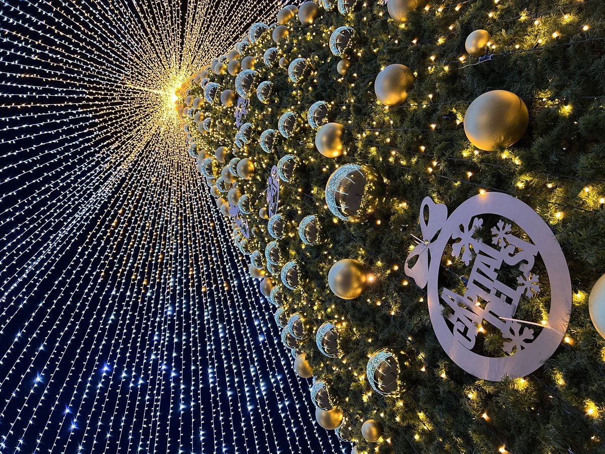 ElDronRamonSLP's tweet photo. ÁRBOL DE NAVIDAD 🌞
#ElDronRamón #sobrevolandolaciudad 
desde el Centro Histórico #SLP  ﾟ * ₊ ･  ﾟ𖧐

#mavicpro2 #drone #teníaqueser #enNavidad #SanLuisPotosí #dji #aerialphotographer #sunrise #sunshine #ViveSanLuisPotosí  #LaCapitalDelSí #ViveMéxico #MadeinMx #RutaMX #MX https://t.co/8hEY1fRX4d
