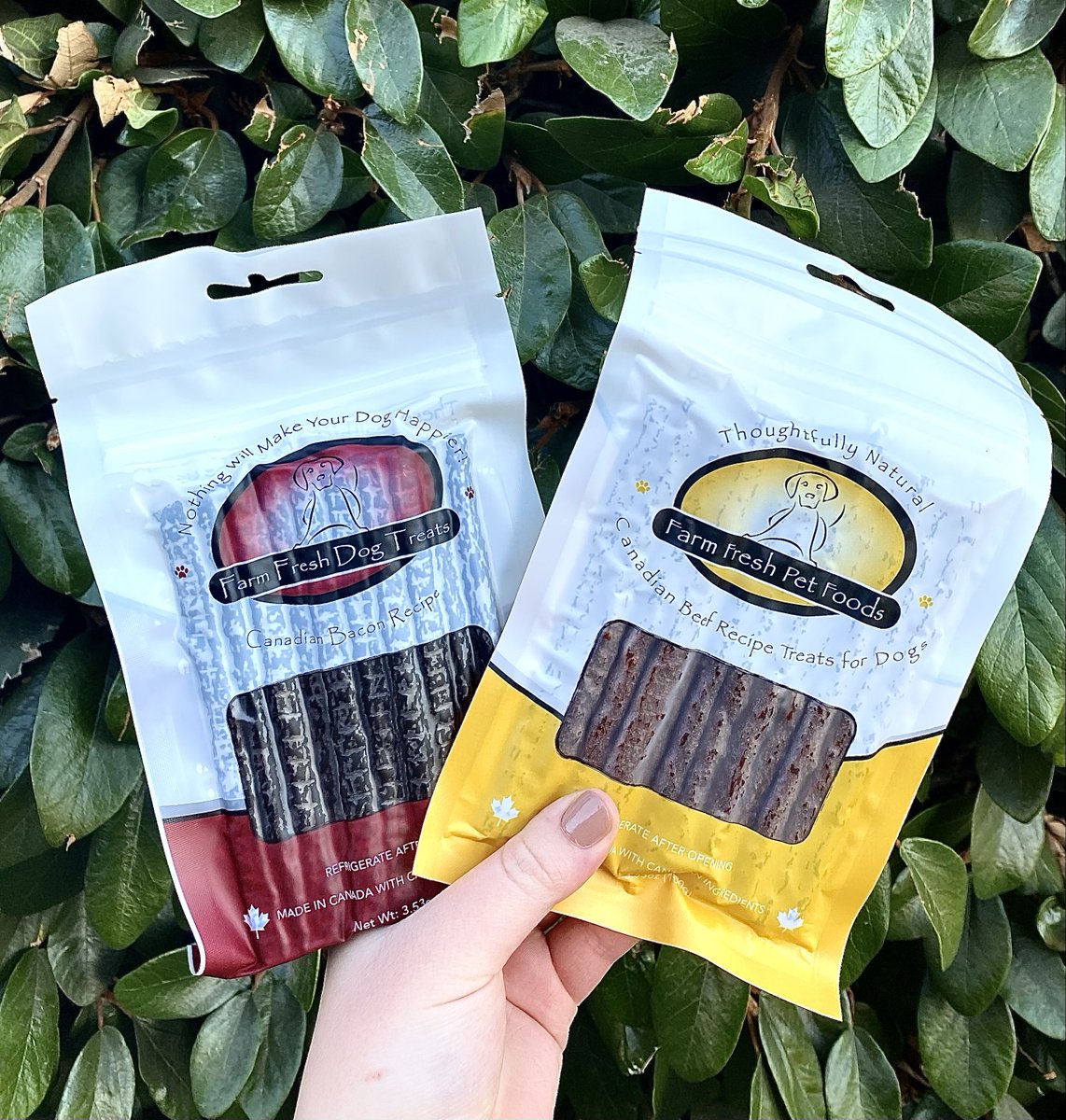FarmFreshPet's tweet photo. With Christmas Eve right around the corner, are you ready to treat your pup?

Our treats are perfect to pair with some puzzle toys, or just to put straight in the stocking! https://t.co/Mhq9ShGfqs