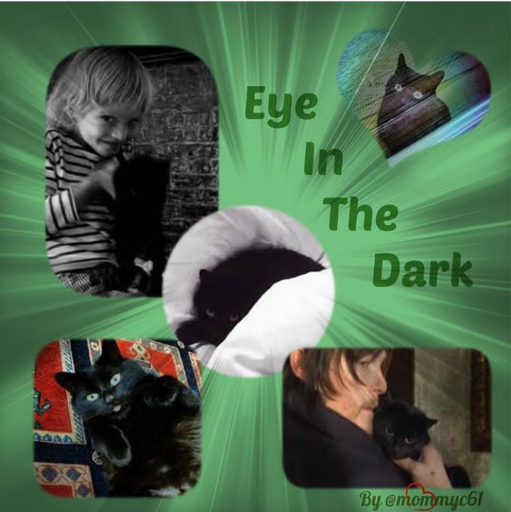 Cheryl_W61's tweet photo. @Alexarenee1 @wendigrier22 @Stef_Helen @wwwbigbaldhead @Messinium @Davina51026186 @emikoko896 @linalan96 @LauraRose92 @NewJeffCT @stitchwitch76 @smoking_reedus @sunshinesreedus @AntoniaSchmitt4 @Pezili73 @leedusme1227 @collette04 @Fdszeva @Kavi59814611 @iowamamaof3 Norman is his daddy, sure he is good. โค๐โโฌ
#EITD
#normanscat
#normanreedus https://t.co/zHh5CoVxM4