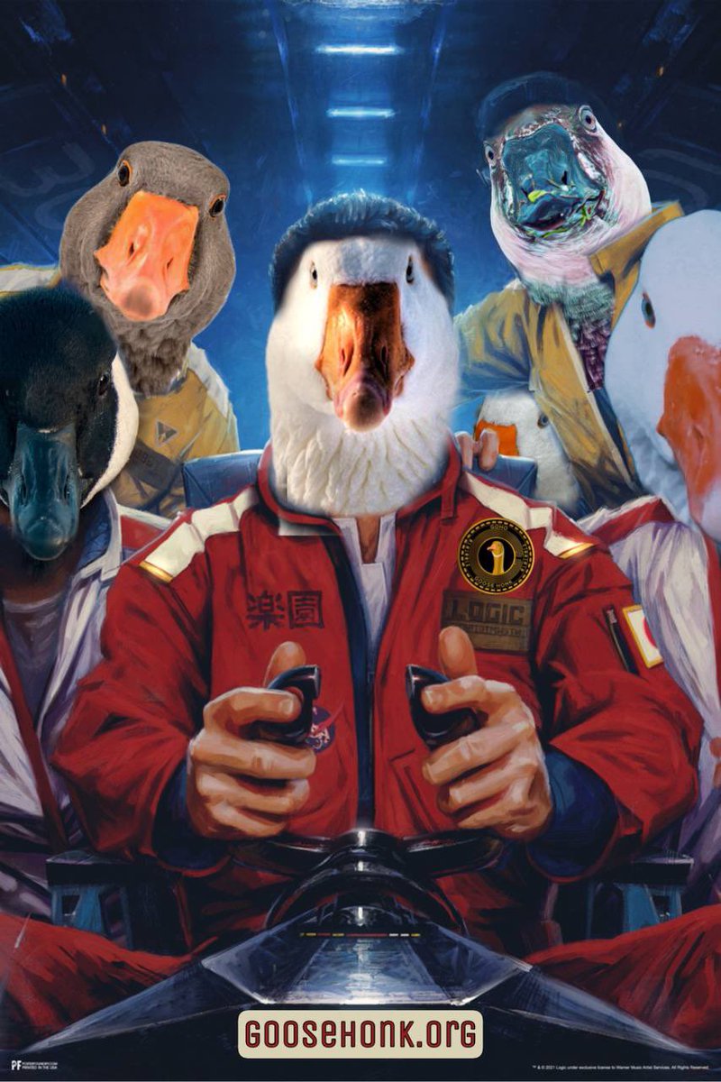 goosehonkshill's tweet photo. @KenGoosenHonk @AltcoinAdvisor_ #GooseSquad causing havoc!! https://t.co/bhmvB0JJZ6