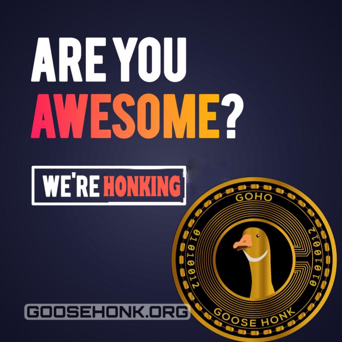 mePlusPlus's tweet photo. @AltcoinAdvisor_ Want to be a part of something big? Join the #goosesquad and letโs honk it up! #goosecrossing https://t.co/Lvn9EIDXSh