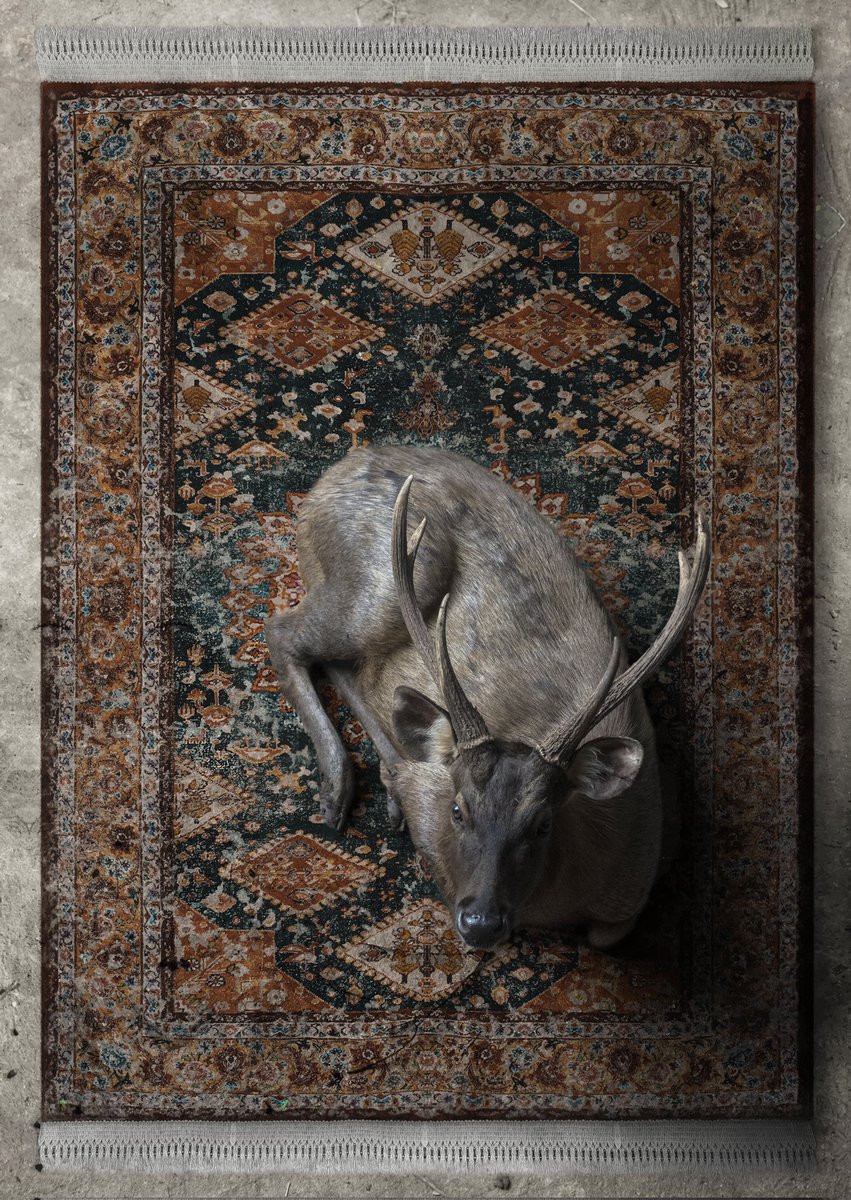 I've shot the photos of animals in different landscapes during last five years and chose a number of them for this collection. Carpets and rugs are either designed by a collaborator artist or photographed from an old rug.

Mediums:
Digital Photomontage/ Photography/ Carpet design