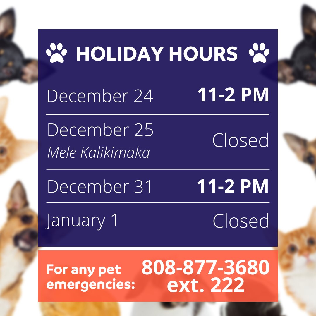 Due to the holiday season, we have adjusted hours of operation for the public. See website for details. For all other services besides adoptions or Foster for the Holidays, appointments are necessary.

#mauihumanesociety #adoptdontshop #mhsholiday