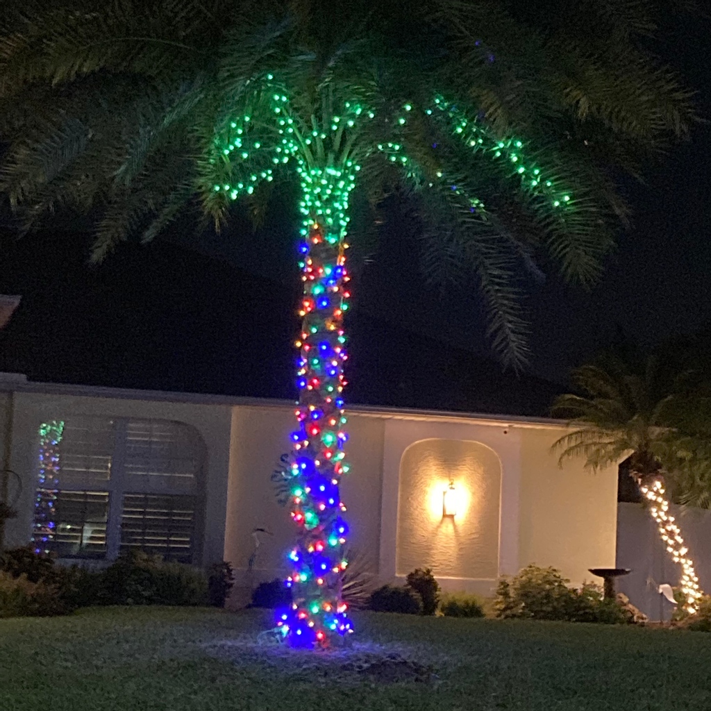 swflpix's tweet photo. Cape Coral Lights: Colorful Tree

#capecorallights #floridalights #christmaslights #christmasdecor #christmas #capecoral #southwestflorida #florida #floridalife #swflpix https://t.co/t9IOzH1FDG